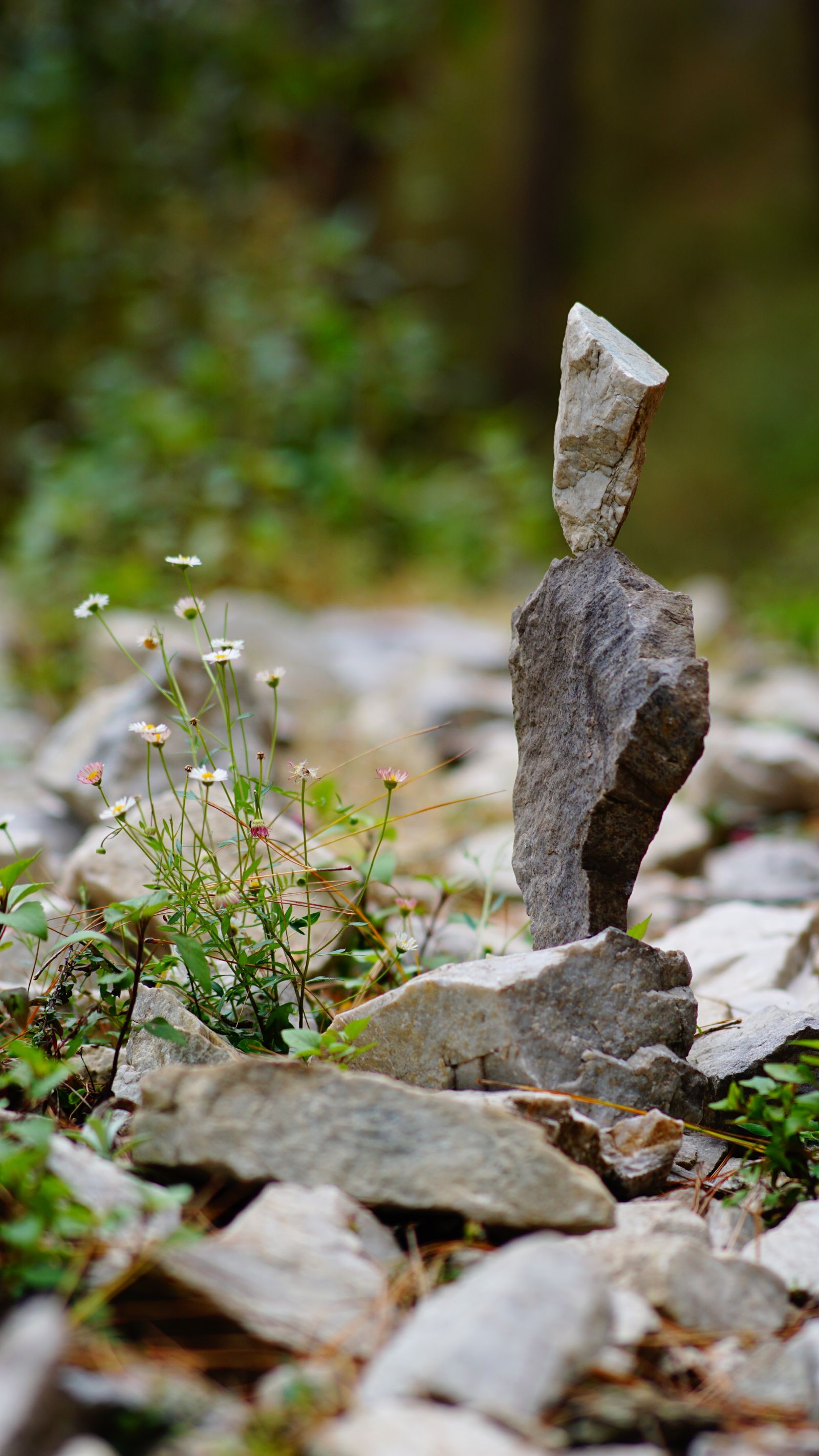 Balanced stacked stones in nature symbolizing the balance of Vata, Pitta, and Kapha doshas