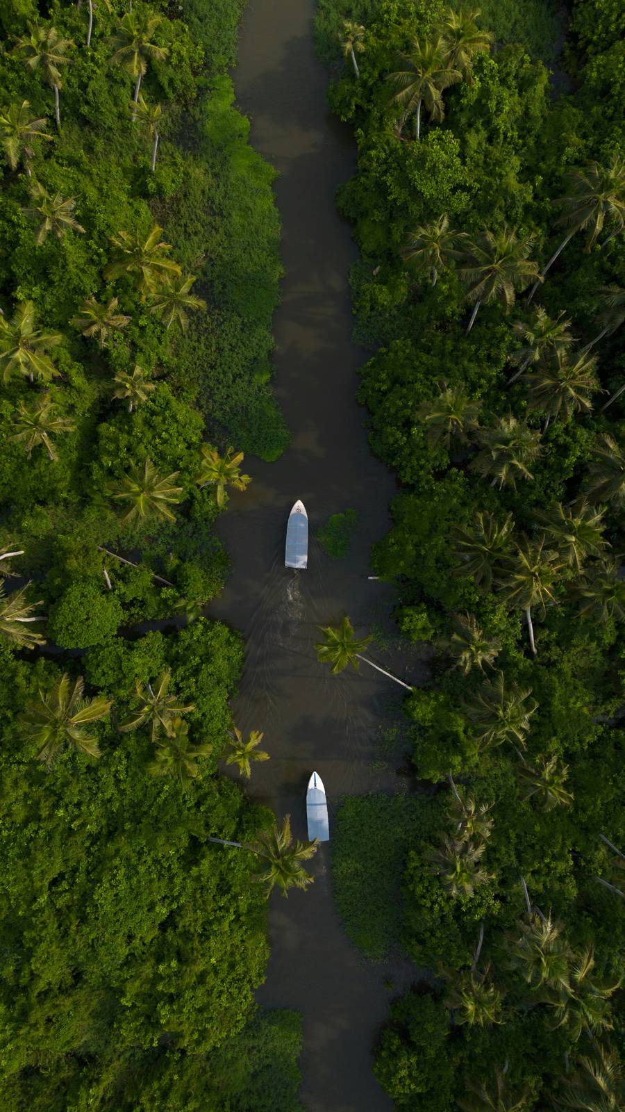 Aerial view of Kerala's backwaters with a traditional canoe, the heart of India's Ayurveda tradition