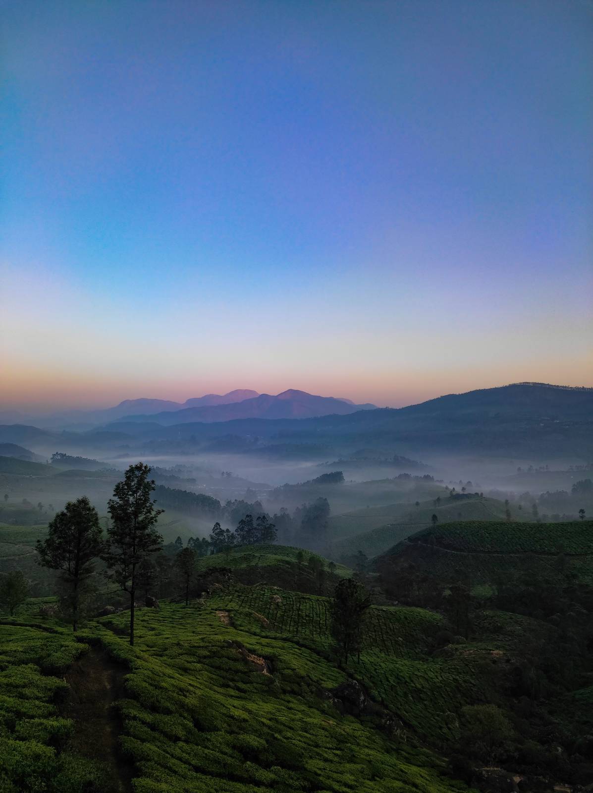 Misty hills and valley in Kerala during monsoon season, considered ideal for Ayurvedic treatment