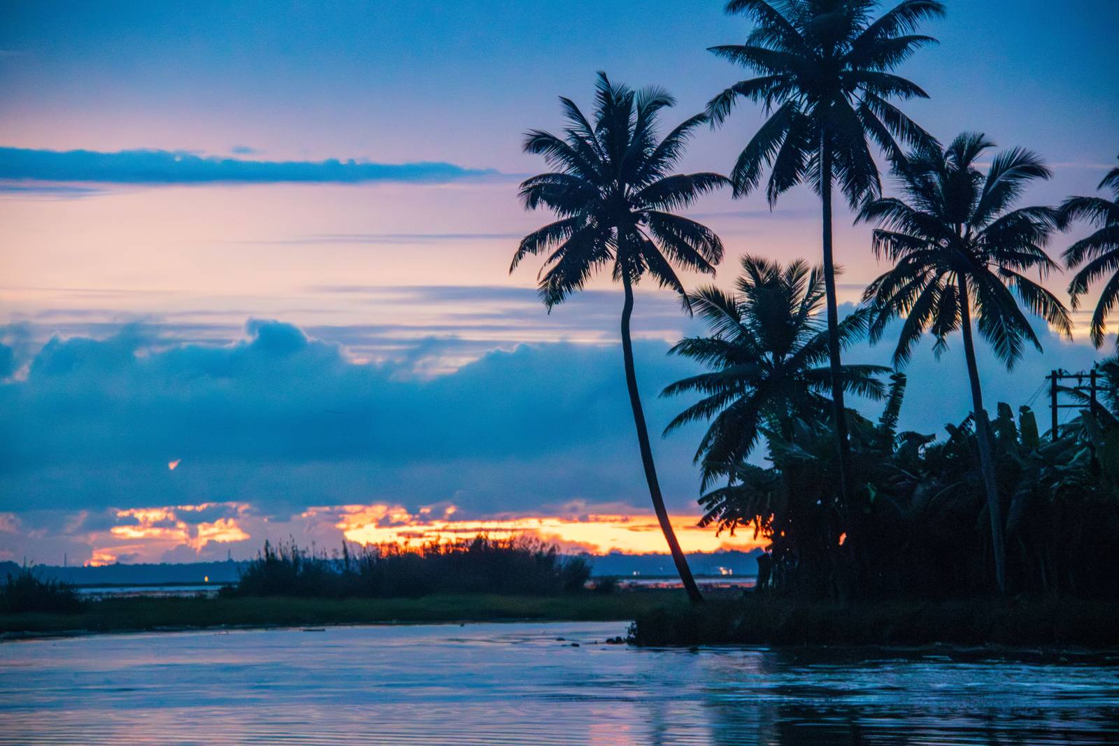 Palm trees at sunset on a Kerala beach